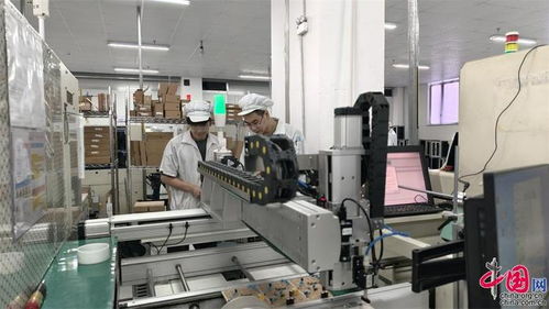 走进威海冠军企业 以自动识别技术解码山东制造的硬核实力