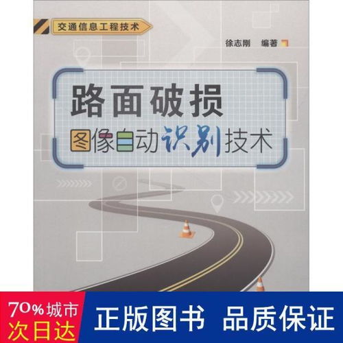 路面破损图像自动识别技术的开发与应用